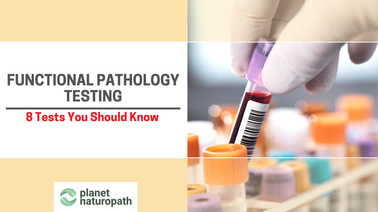 Functional Pathology Testing - Planet Naturopath