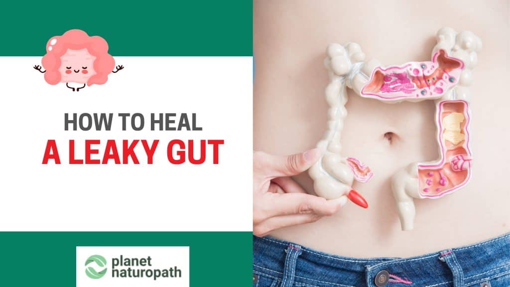 Heal Leaky Gut featured image