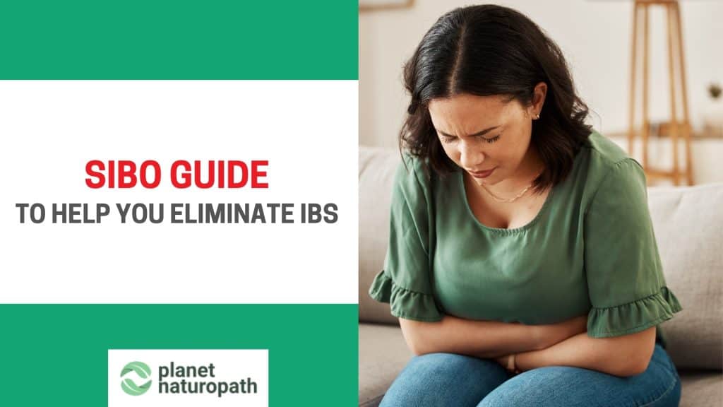 SIBO guide featured image