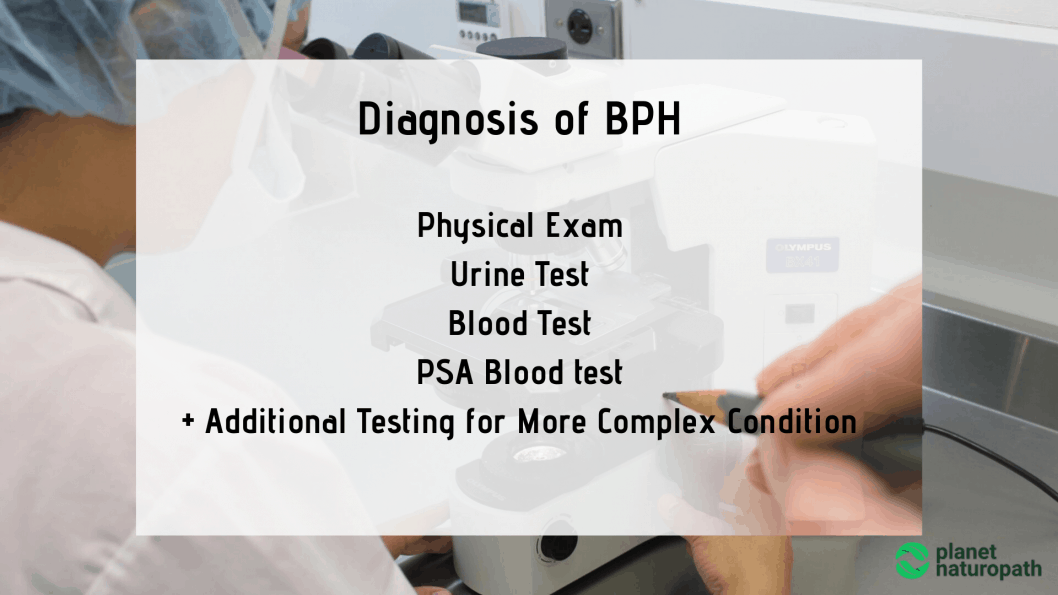 Is Your Prostate Causing You Problems? (natural BPH Treatment) - Planet ...