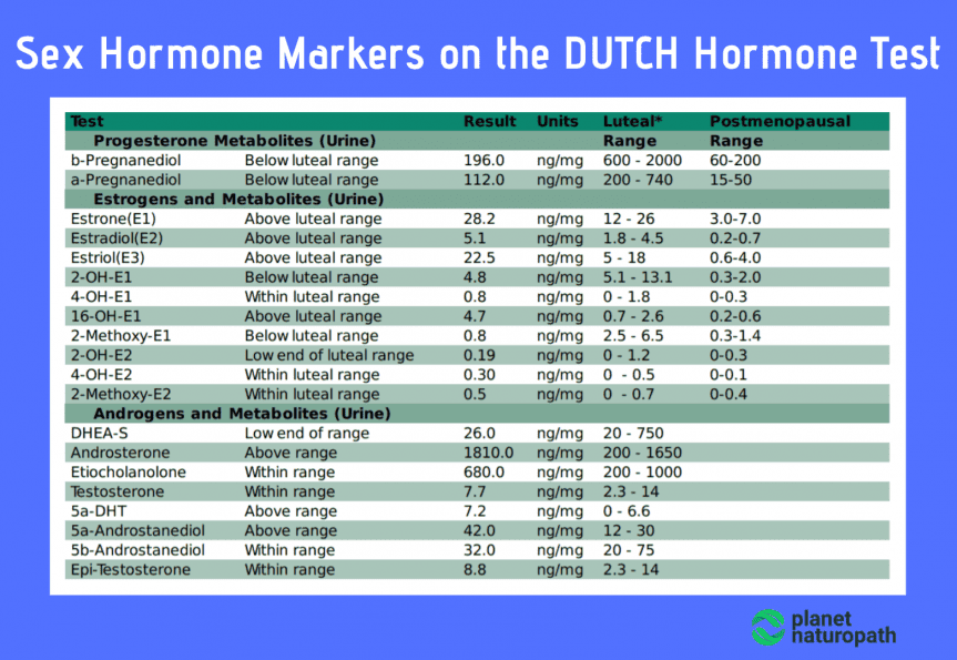 DUTCH Hormone Test Review Naturopath
