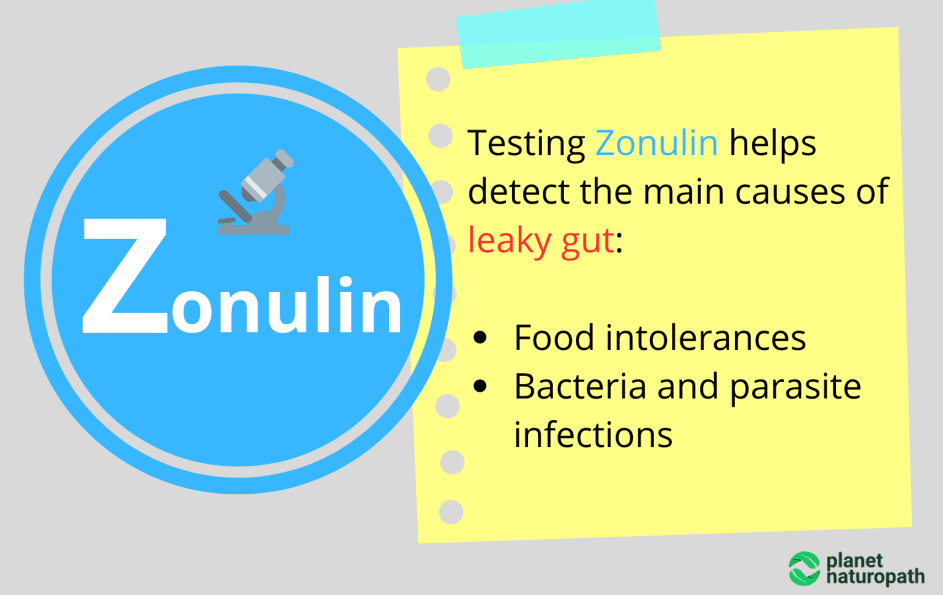 GI Map Stool Test (and How To Order) Naturopath