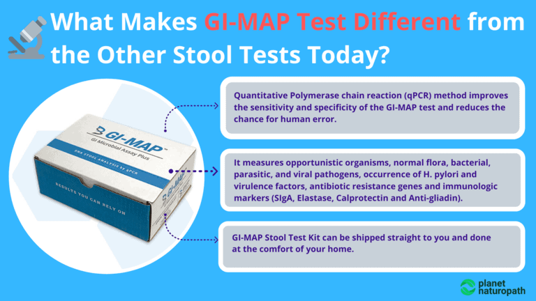 Complete Guide To The GI Map Test (Updated 2026) | Planet Naturopath