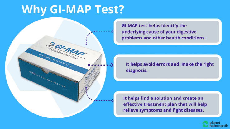 Complete Guide To The GI Map Test - Why GI Map Test 738x415