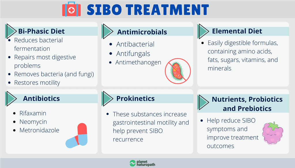 SIBO Guide (to Help You Eliminate IBS) Naturopath