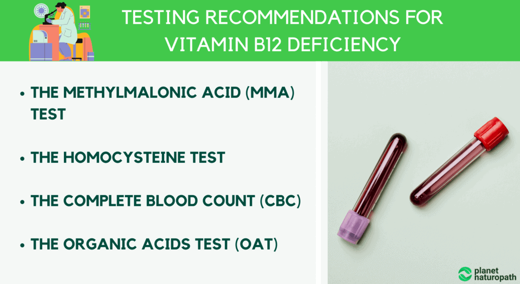Vitamin B12 Guide How To Treat Vitamin B12 Deficiency Naturopath