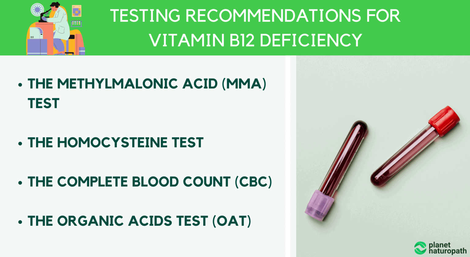 Vitamin B12 Guide How To Treat Vitamin B12 Deficiency Naturopath