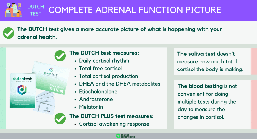 5 Surprising Benefits Of The Dutch Hormone Test Planet Naturopath