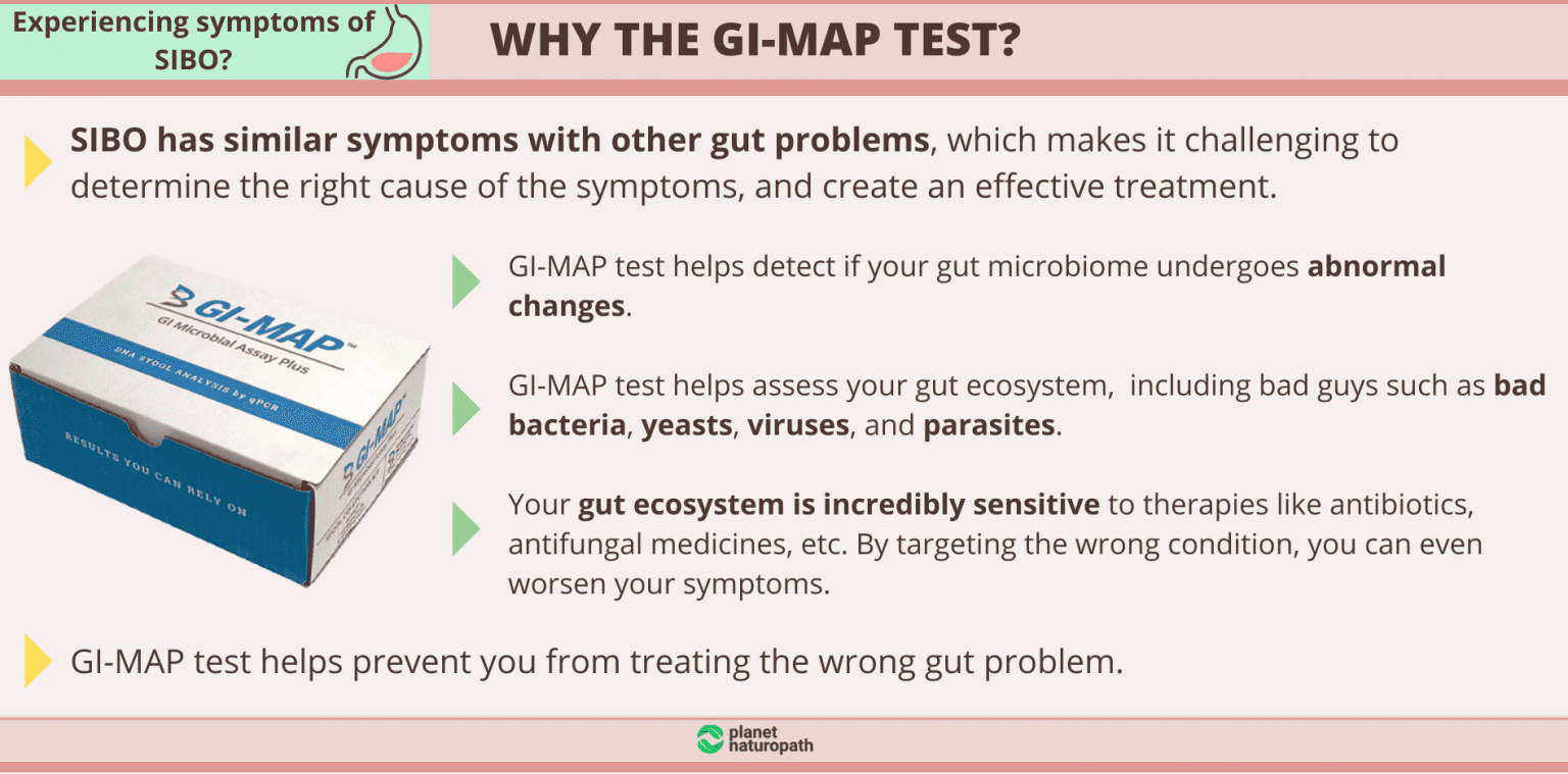 SIBO Testing Is It Worth It?