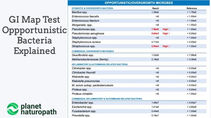 GI Map Test Opportunistic Bacteria - GI Map Test Opportunistc Bacteria 738x415