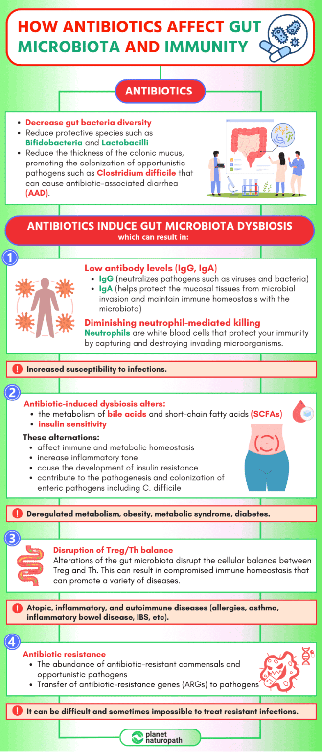 How To Restore Gut Health After Antibiotics