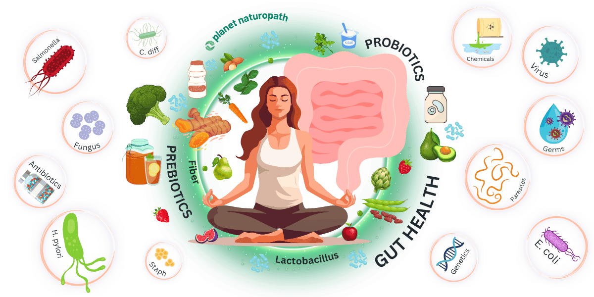 Gut Health Pillar page featured image