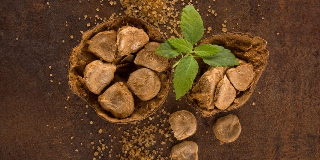 Stevia & Monk Fruit