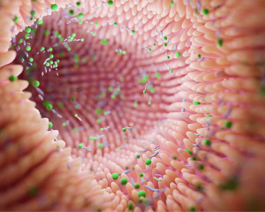 Gut Immunity Markers