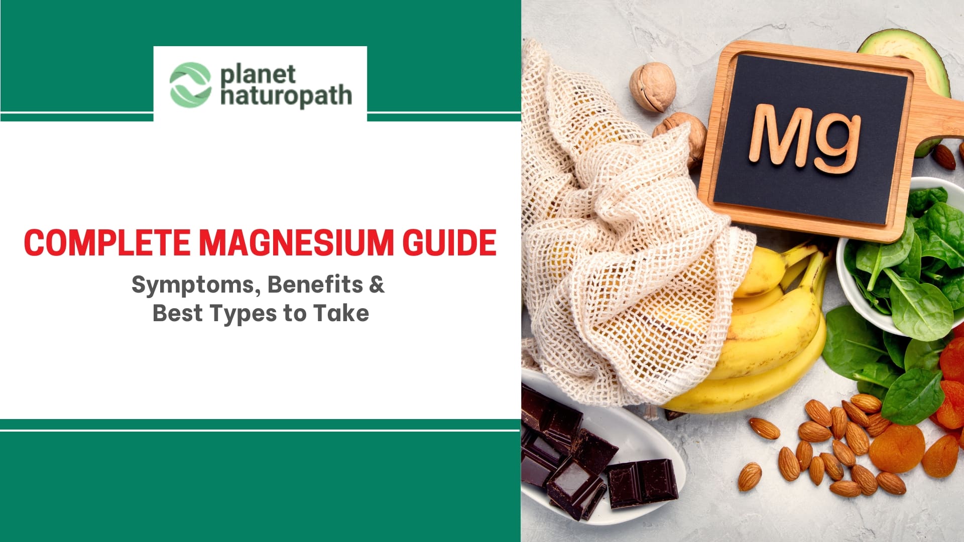 Magnesium Guide featured image