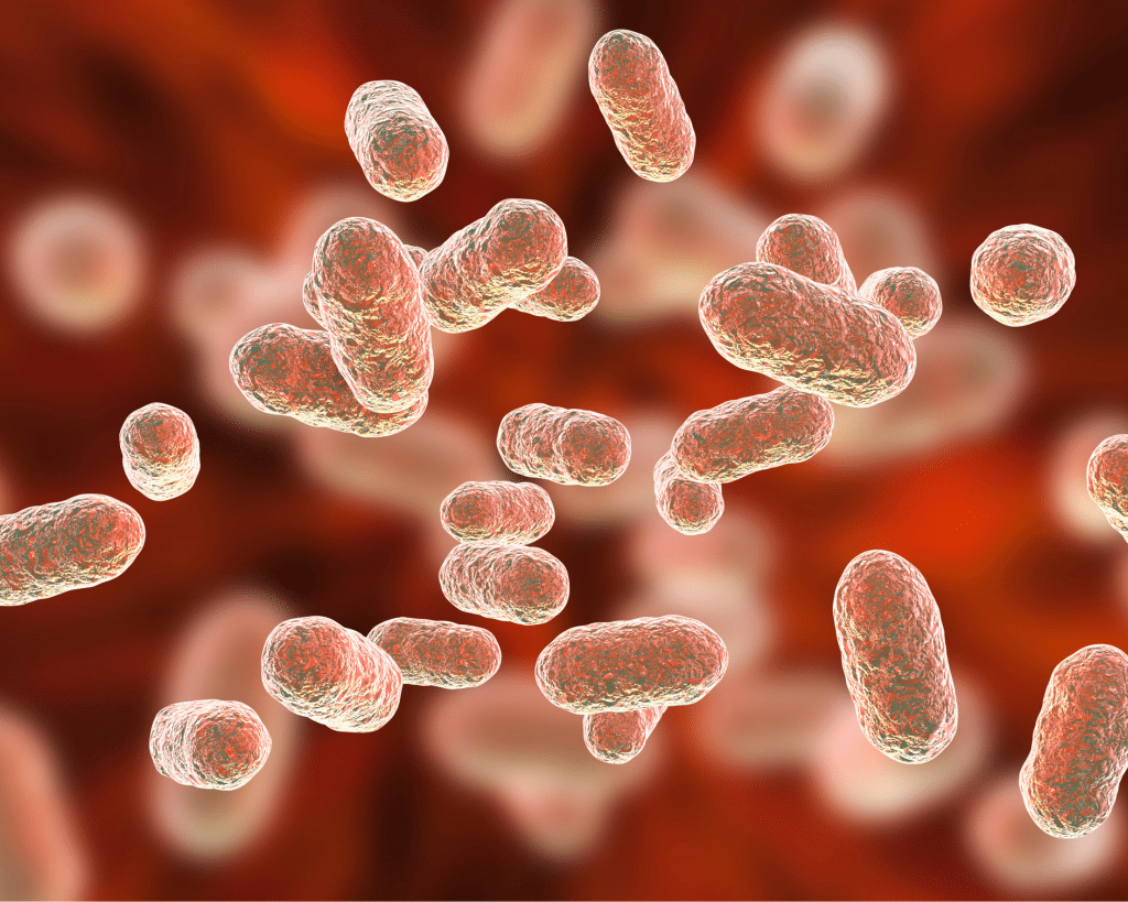 Microbiome & Dysbiosis