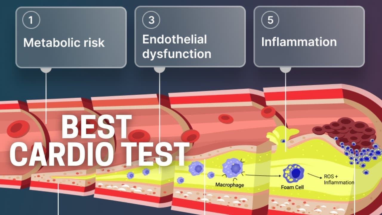 Cardio Zoomer Test: The Most Advanced Cardiovascular Test Available