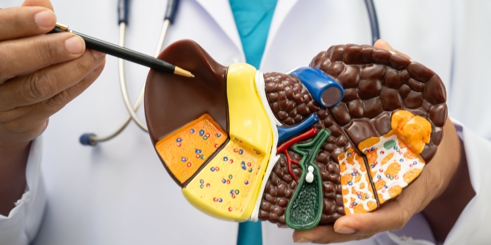 Gut–Liver Connection