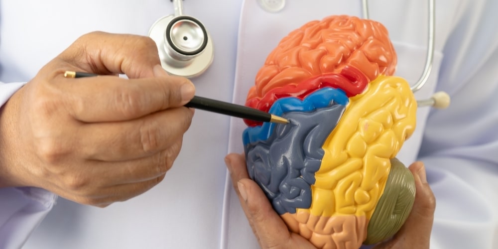 K2 and Brain Health