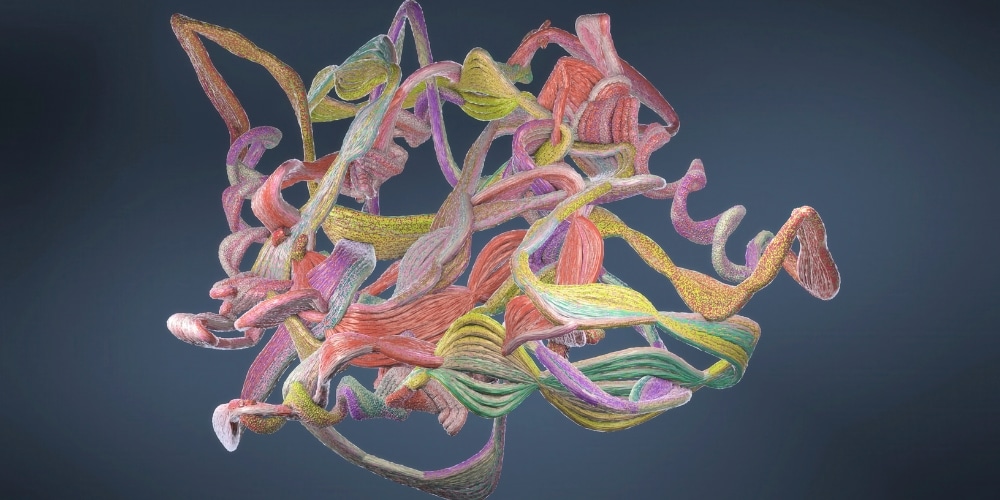 Matrix GLA Protein
