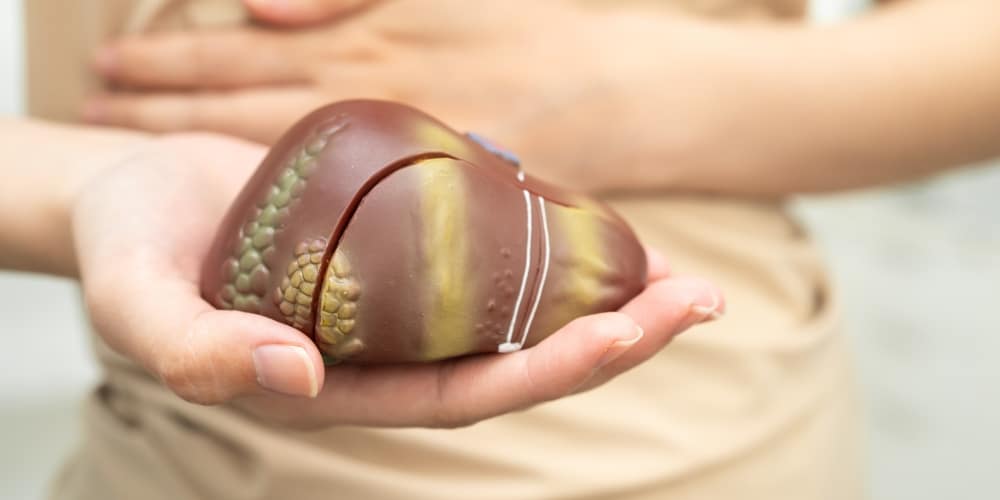 What Is Fatty Liver
