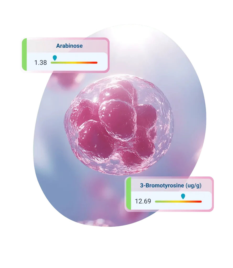 All Tests Available 22 Cellular Zoomer test