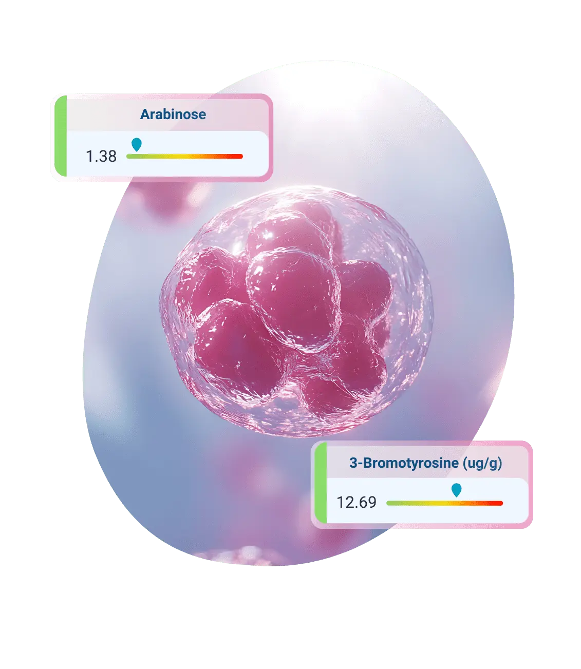 Vibrant Wellness Gut Zoomer: Complete Guide 8 Cellular Zoomer test