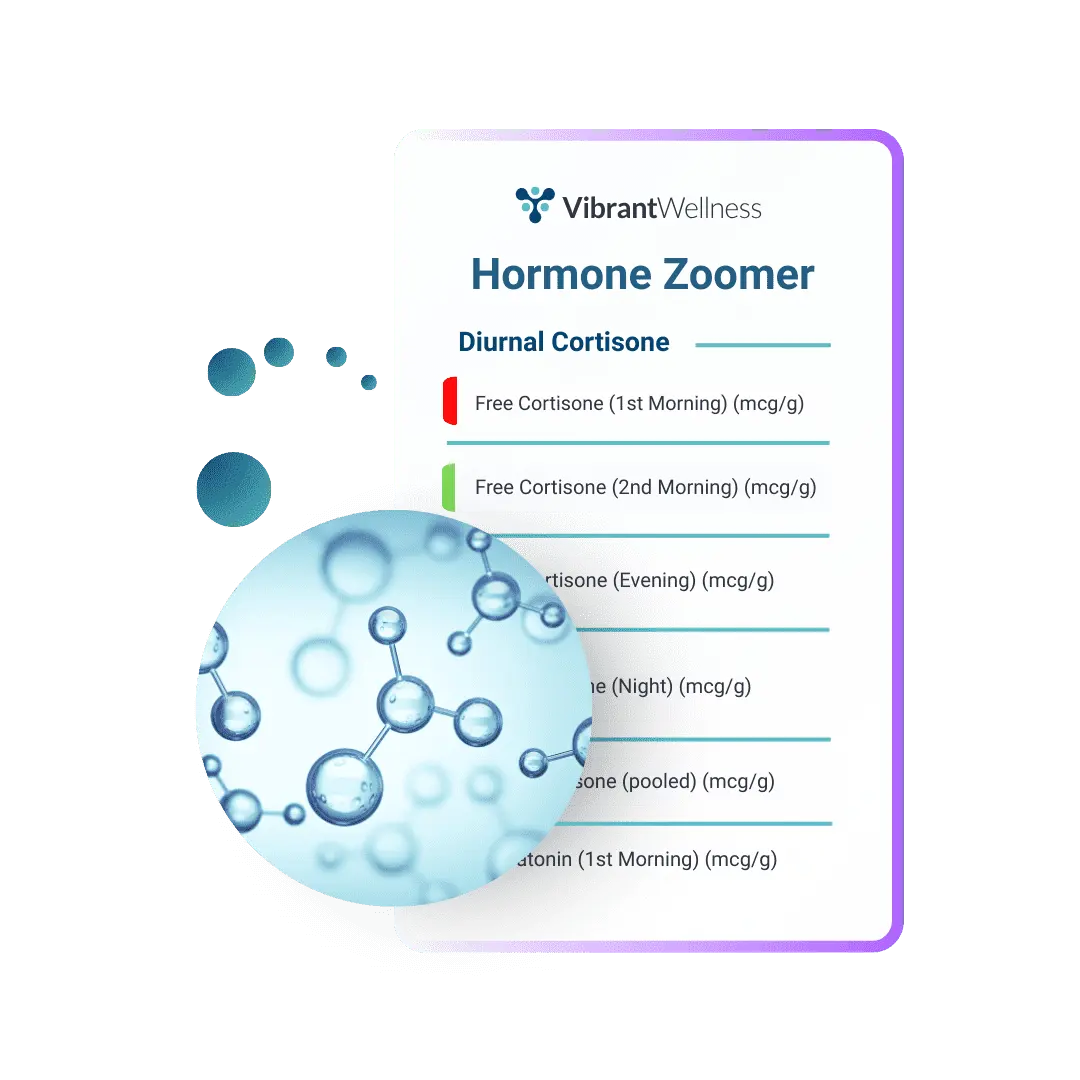 Vibrant Wellness Gut Zoomer: Complete Guide 10 Hormone Zoomer test