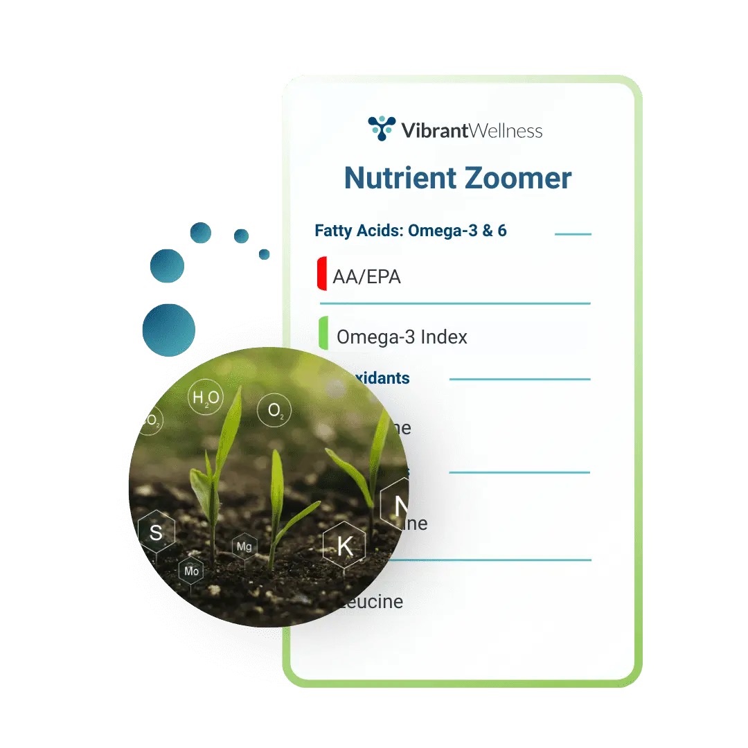Vibrant Wellness Gut Zoomer: Complete Guide 9 Nutrient Zoomer test