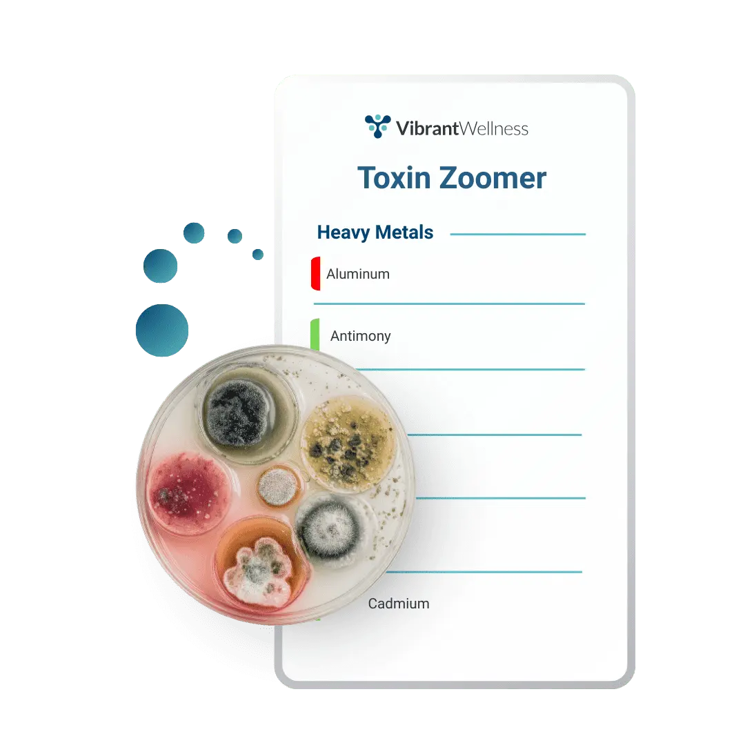 Vibrant Wellness Gut Zoomer: Complete Guide 11 Toxin Zoomer test