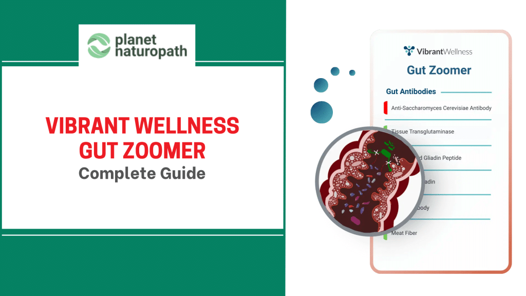 Vibrant Wellness Gut Zoomer new featured image