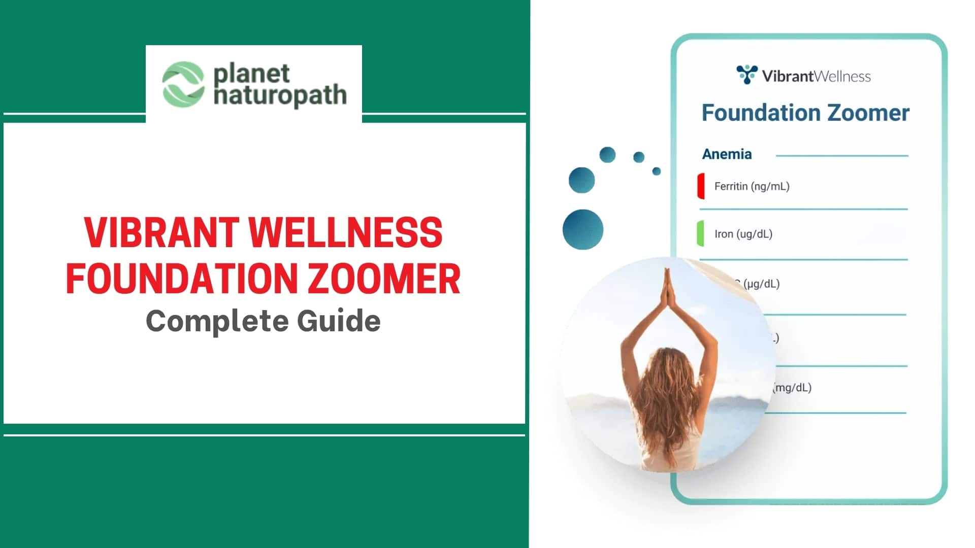 Vibrant Wellness Foundation Zoomer new featured image