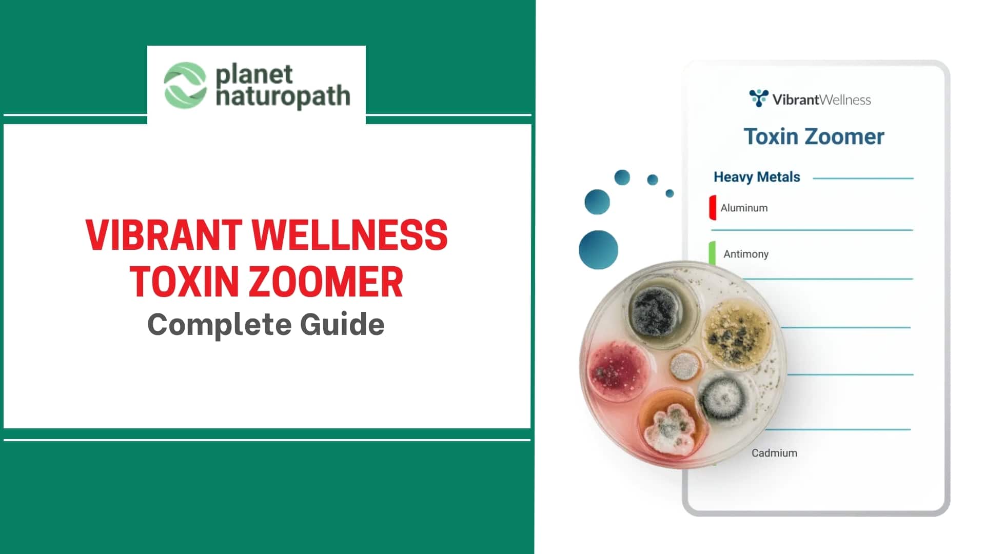 Vibrant Wellness Toxin Zoomer new featured image
